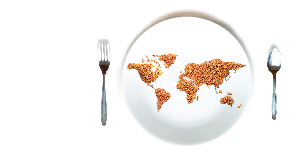 El reto que sigue: alimentar al mundo